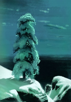 In the wild north
